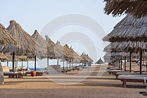 Luxury sand beach with beach chairs and straw umbrellas in tropical resort in Red Sea coast in Egypt, Africa