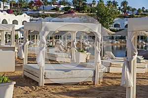 Luxury sand beach with beach chairs in tropical resort in Red Sea coast in Sharm El Sheikh, Egypt, Africa