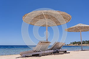 Luxury sand beach with beach chairs and white straw umbrellas in tropical resort in Red Sea coast in Egypt, Africa