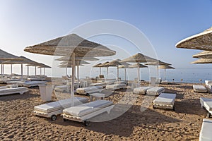 Luxury sand beach with beach chairs and white straw umbrellas in tropical resort in Red Sea coast in Egypt, Africa