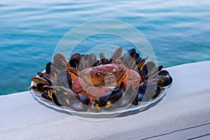 Luxury seafood on the plate illustration, on the sea background