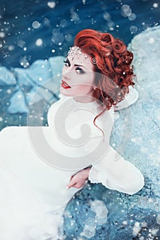 Luxury snow queen photo