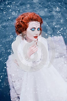 Luxury snow queen photo