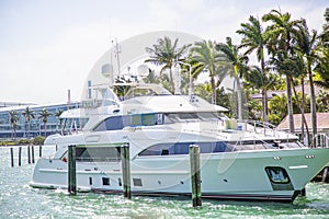 Luxury speed yachts near tropical island in Key West