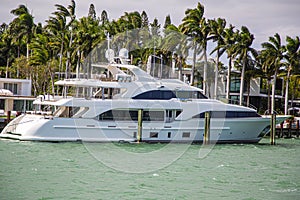 Luxury speed yachts near tropical island in Miami