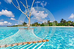 Luxury summer landscape with swing or hammock over water in Maldives perfect sea with tropical landscape island background