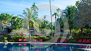 Luxury swimming pool with beach beds and palm trees