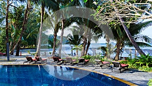 Luxury swimming pool with beach beds and palm trees