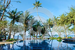 Luxury swimming pool with beach beds and palm trees