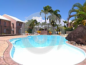 Luxury swimming pool in Guadeloupe Island. Palm trees. Antilles