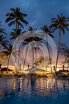 Luxury swimming pool with palm trees at night during sunset in Thailand
