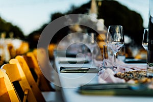 Luxury table settings for fine dining and weddings.