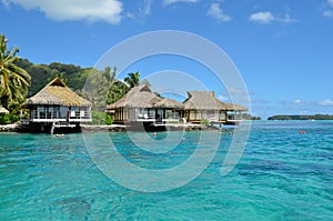 Luxury thatched roof honeymoon bungalows