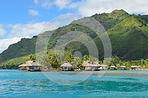 Luxury thatched roof honeymoon bungalows in French Polynesia