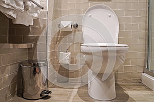 Luxury toilet bowl and sanitary bin in hotel