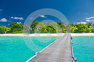 Maldives paradise beach banner. Perfect tropical island. Beautiful palm trees and tropical beach. Moody blue sky and blue lagoon