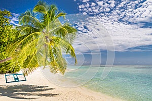 Luxury vacation concept, palm and beach swing over beautiful blue sea. Tropical landscape for summer holiday