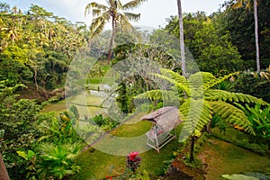 Luxury Villa in Bali Indonesia