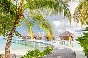 Luxury water villas in Maldives island beach, palm leaf and blue sea. Summer vacation