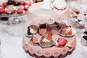 luxury wedding catering, pink table with modern desserts, cupcakes, sweets with fruits. delicious candy bar at expensive wedding