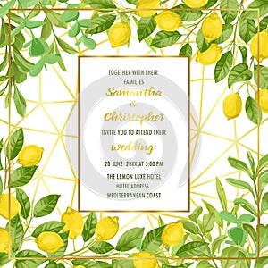 Luxus svadobné oznámenie karta citrón a byliny 