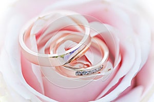 Luxury wedding rings on a pink rose flower