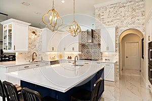 Luxury White Kitchen Home Design