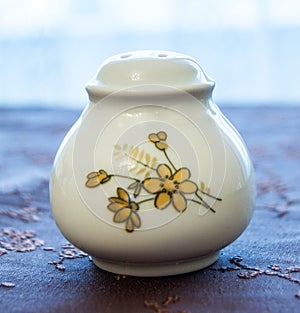 Luxury white porcelain saltshaker photo