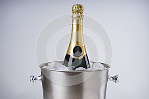 Luxury wine bottle in ice bucket