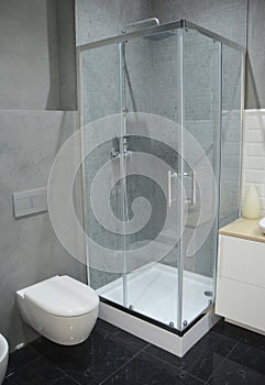 Luxury Wodern Bathroom in Grey Tones With Shower and White Toilet Bowl