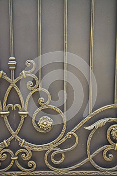 Luxury Wrought Iron Fence Detail