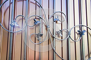 Luxury Wrought Iron Fence Detail