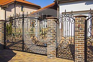 Luxury Wrought Iron Fence Detail