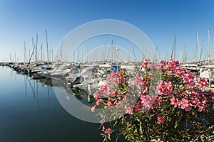 Luxury yachts in Cote d`Azur, France