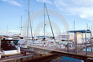 Luxury yachts docked in marina.