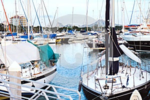 Luxury yachts docked in marina.