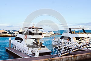 Luxury yachts docked in marina.