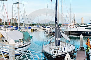 Luxury yachts docked in marina.