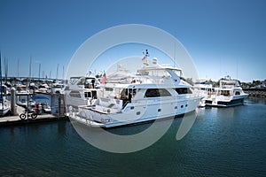 Luxury yachts docked at the marina