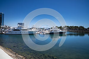 Luxury yachts docked at the marina