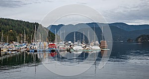 Luxury yachts docked in marina. Port in Vancouver. Sailboat harbor, many beautiful moored sail yachts in the sea port