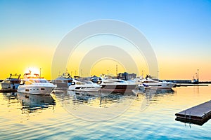 Luxury yachts docked in sea port at sunset.