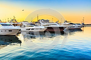 Luxury yachts docked in sea port at sunset. Marine parking of modern motor boats and blue water.