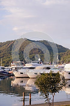 Luxury yachts docked in sea port at sunset. A stunning view of mega yachts in the port. Mountains background.