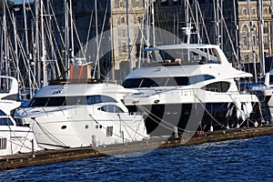 Luxury yachts in the harbor