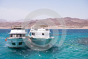 Luxury yachts. Landscape seascape Egypt coastline Sinai Rocky Mountains Africa
