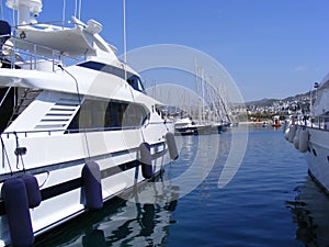 Luxury Yachts in Marina