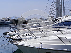 Luxury Yachts in Marina