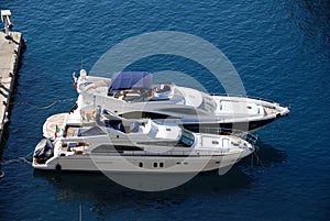 Luxury yachts at marina