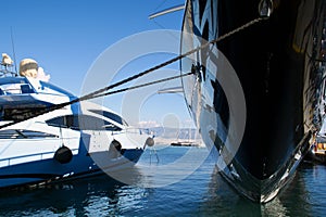 Luxury Yachts in Marina